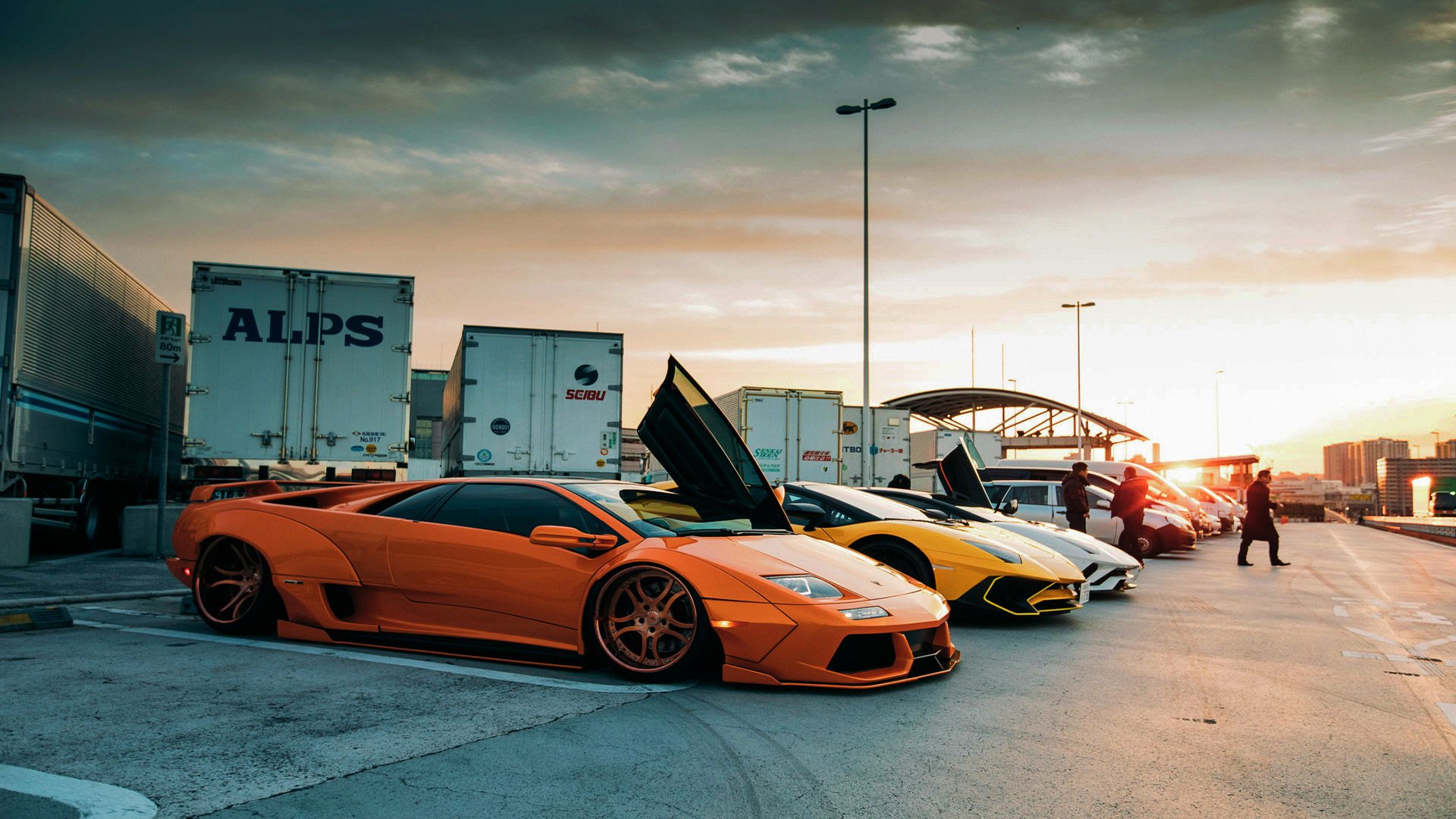 武切维奇独奏交响曲，当魔术的森林在明尼苏达狼嚎中挺立