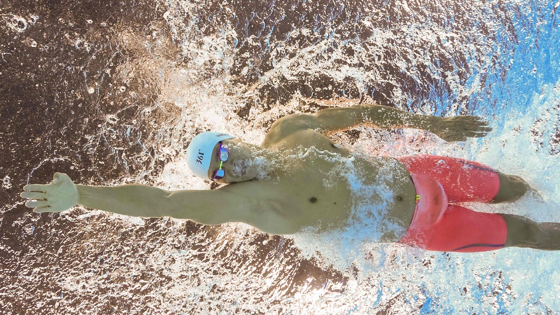 武切维奇独奏交响曲，当魔术的森林在明尼苏达狼嚎中挺立