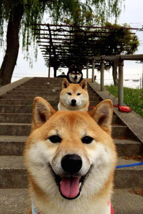 双线并进,曼城枪手上演战术博弈,哥伦比亚激情击退袋鼠军团