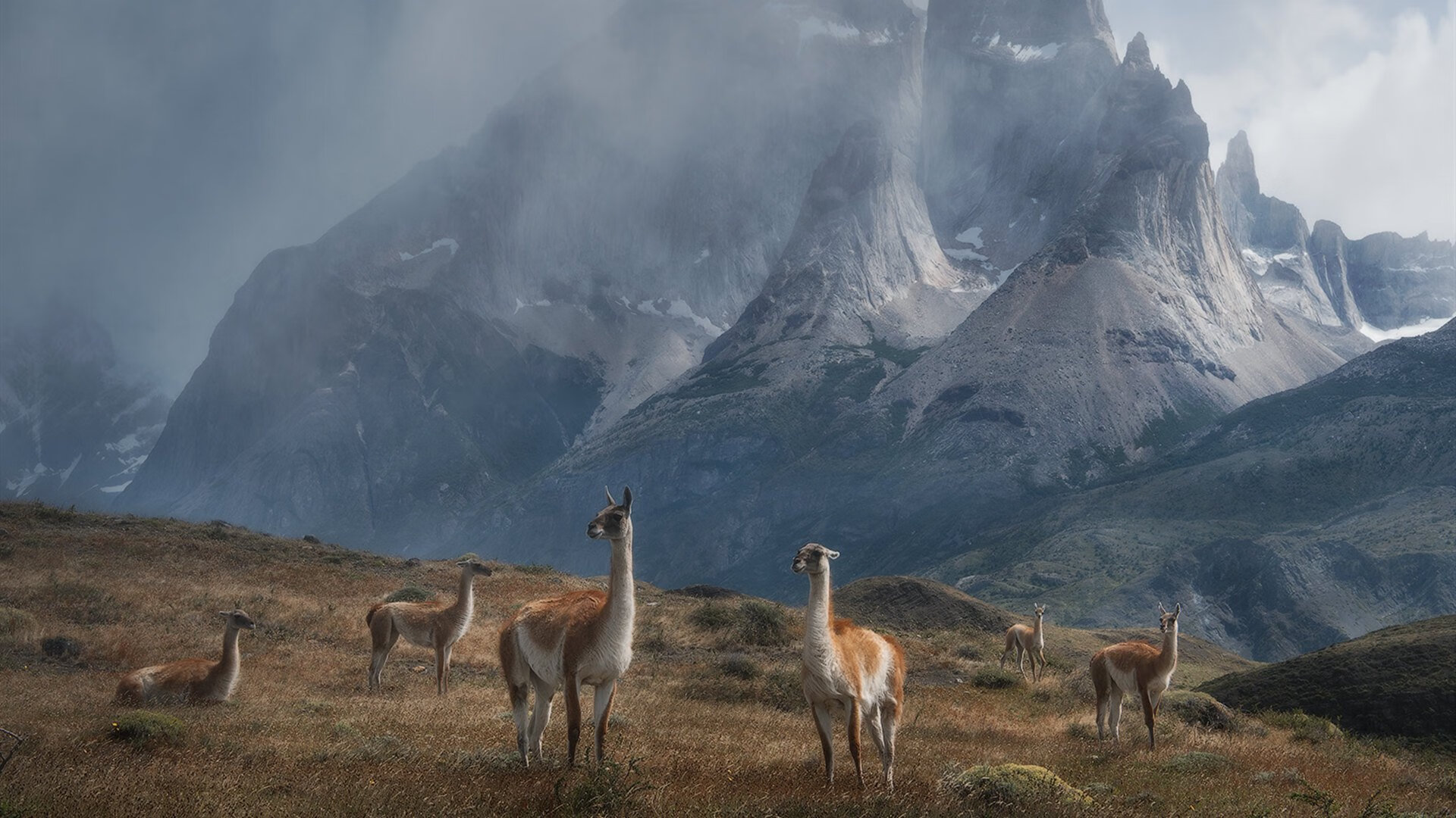 平行时空的救赎，当乔治在猛龙与勇士的巅峰对决中投出逆转三分