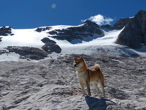 狂飙43分却成背景板！布伦森爆发夜，魔术硬仗击溃联盟第一