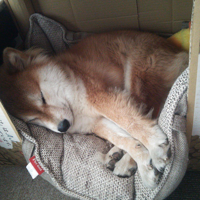 节奏掌控与冠军光芒，挪威制伊朗，坎特主宰中场