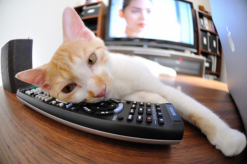 京多安闪光难救主,巴黎式节奏窒息德国战车