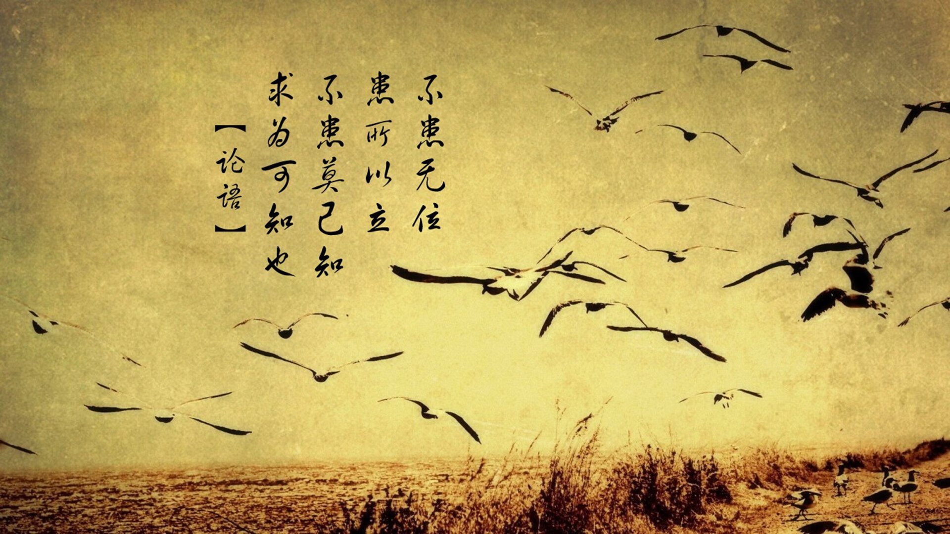 断裂与重塑,从废墟中站起的超级巨星法则