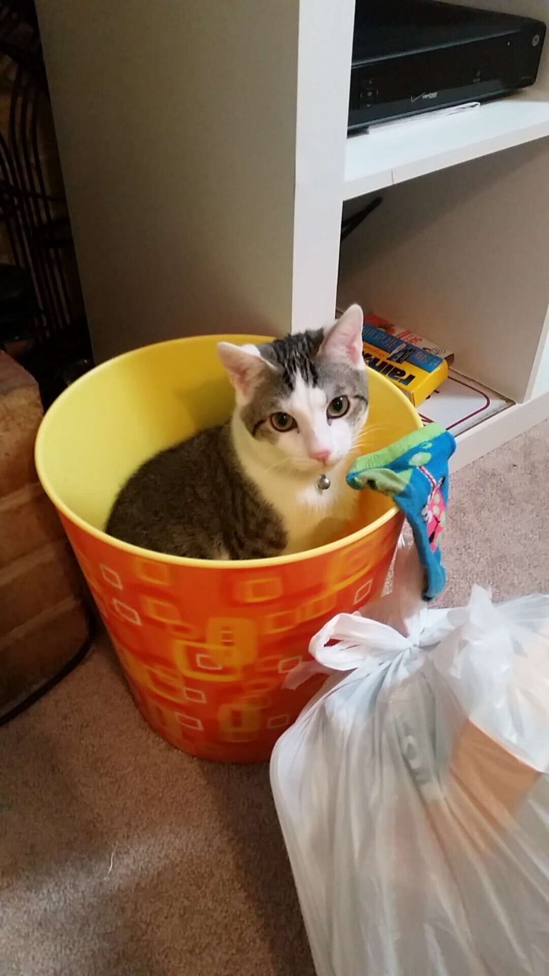 相同的星空,不同的战场,当曼城颤抖时,中国足球赢下属于自己的焦点战