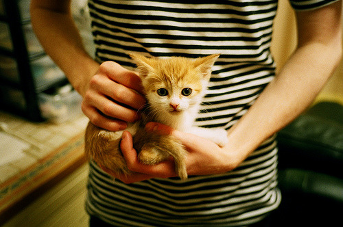 开云体育APP下载-风暴眼中升起，切特·霍姆格伦的奥运宣言之战