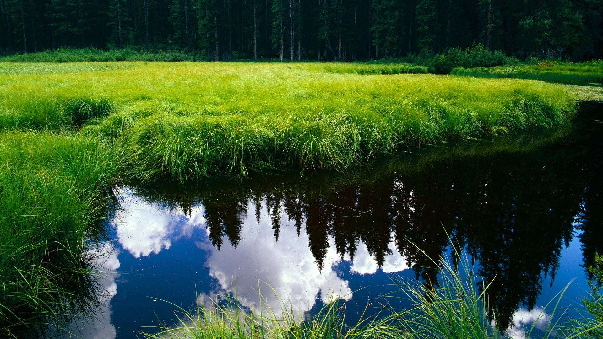 开云体育在线-当疯狂席卷麦迪逊，黄蜂逆袭之夜，哈登祭出关键先生终极形态