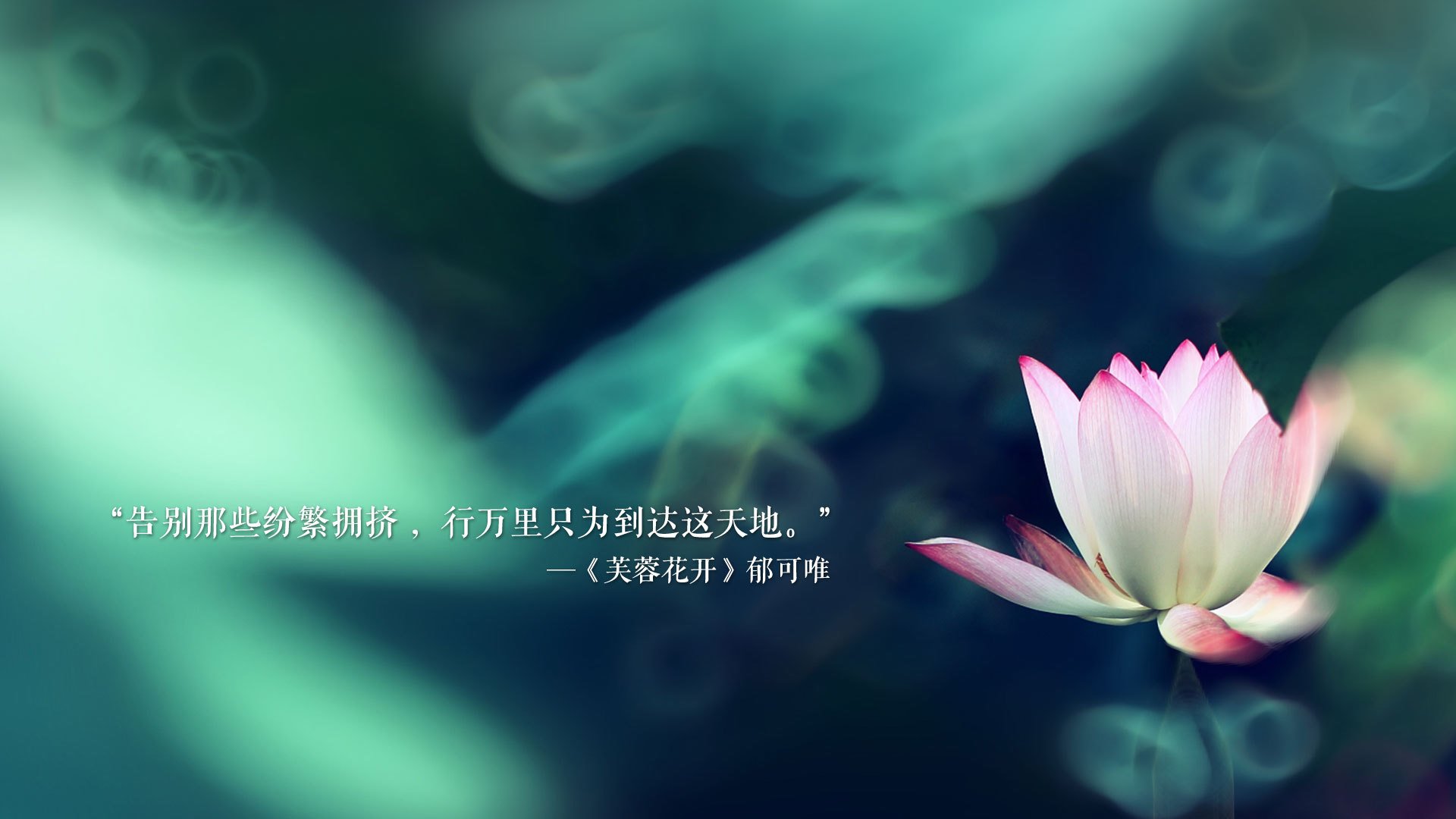 亚洲之光弑神之夜,孙兴慜独舞,葡萄牙在惊涛骇浪中险胜厄瓜多尔